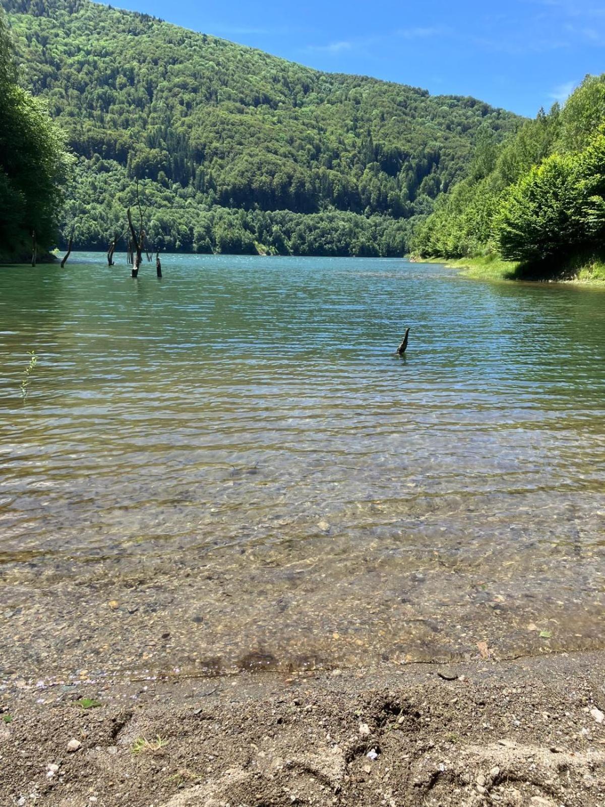 פוינה מרולוי Vilabelvedere Scorilo מראה חיצוני תמונה